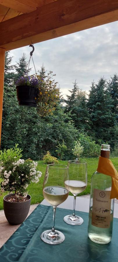 Ferienhaus Richtermuehle 세브니츠 외부 사진